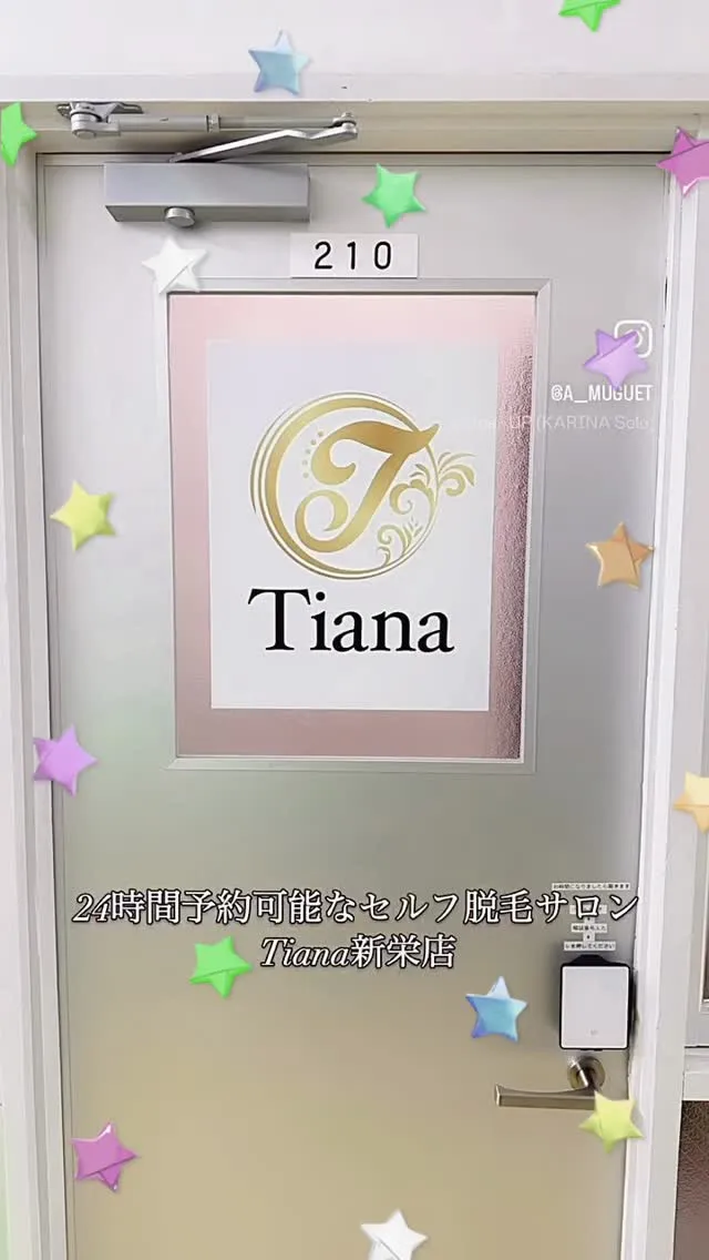 🪅🎄Merry Xmas🎄🪅